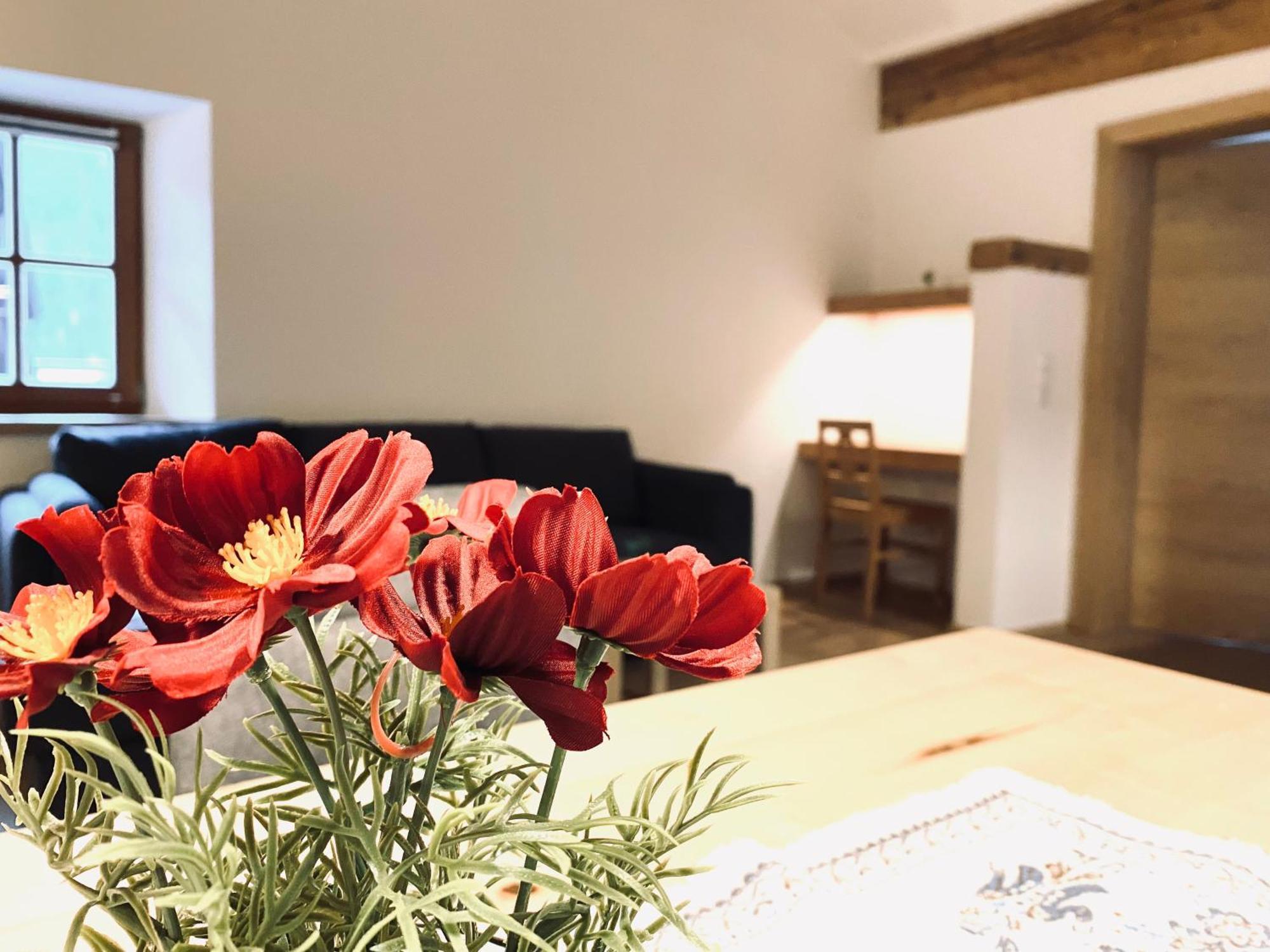 Steinergut Apartments 장크트 마르틴 베이 로페르 외부 사진